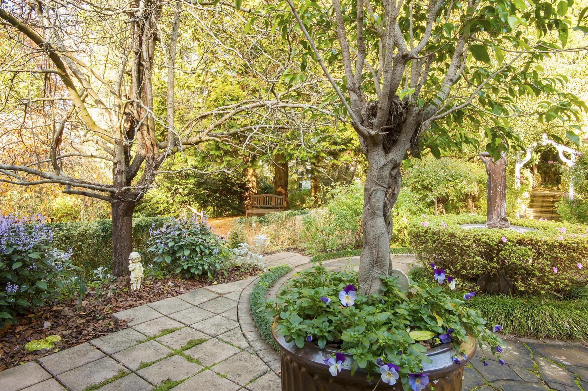 Clarendon Cottages Sassafras Extérieur photo