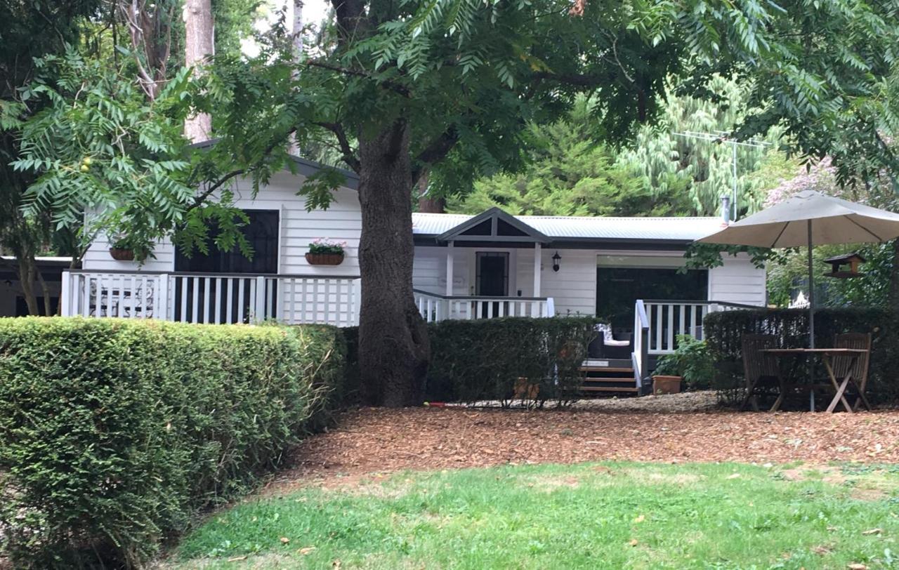 Clarendon Cottages Sassafras Extérieur photo